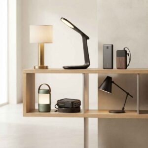 Lighting & Power Bank