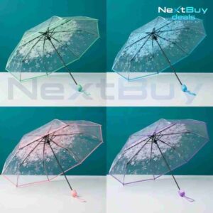 transparent umbrella